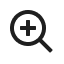 zoom icon
